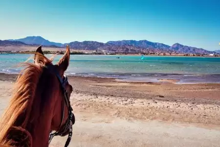 desert horse riding in sharm el sheikh